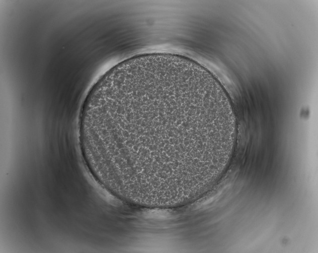 X0000101990998200808151420