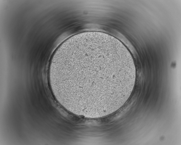 X0000101991002200808151420