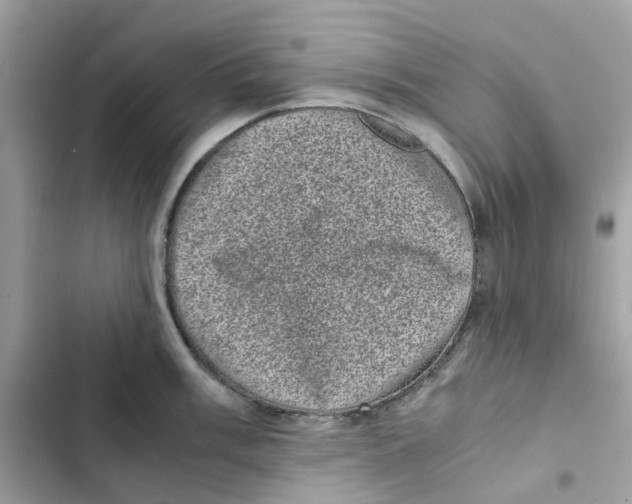 X0000101991003200808151420