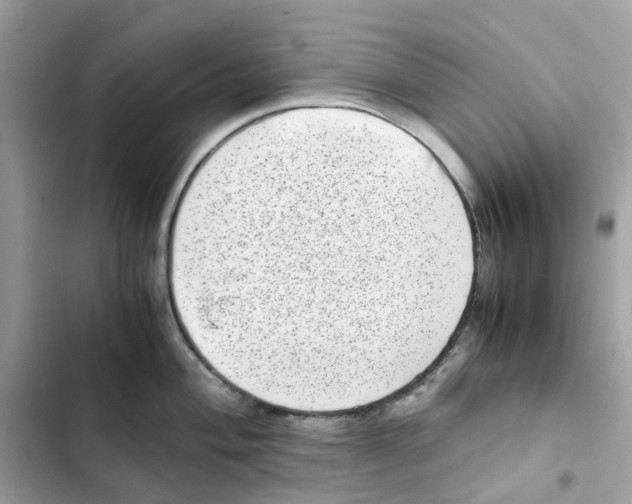 X0000101991004200808151420