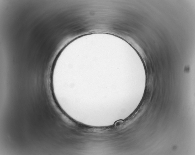 X0000101991005200808151420