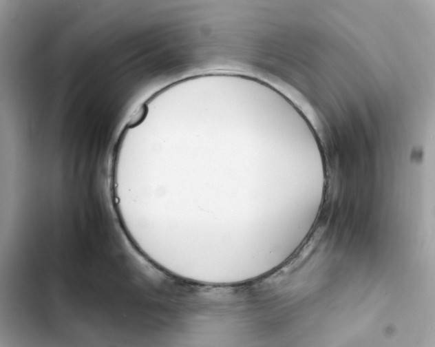 X0000101991006200808151420