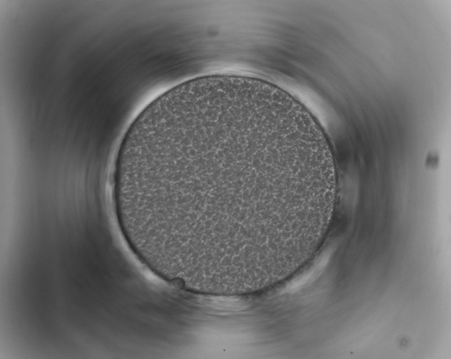 X0000101991007200808151419