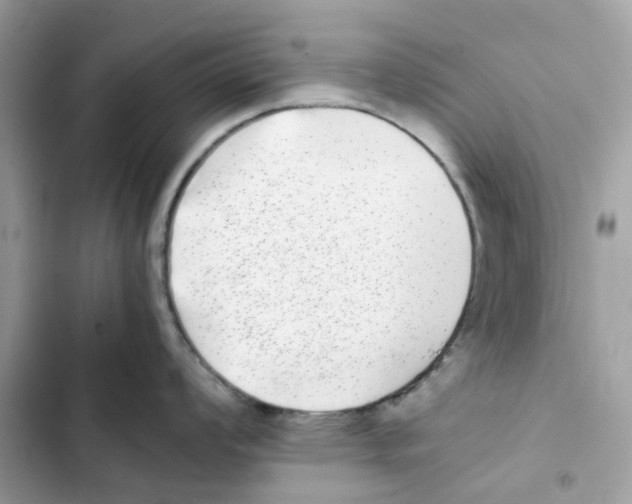 X0000101991008200808151419