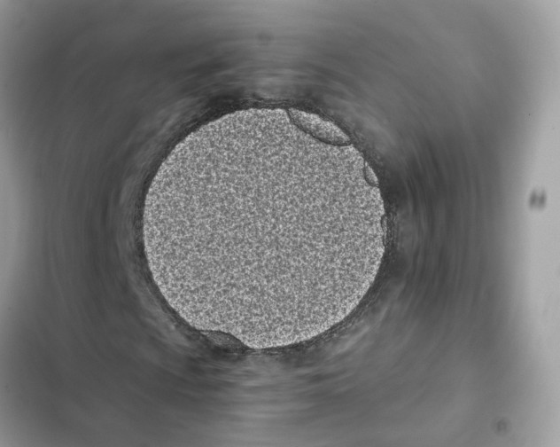 X0000101991009200808151419