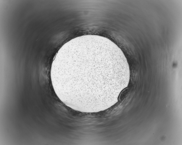 X0000101991010200808151419