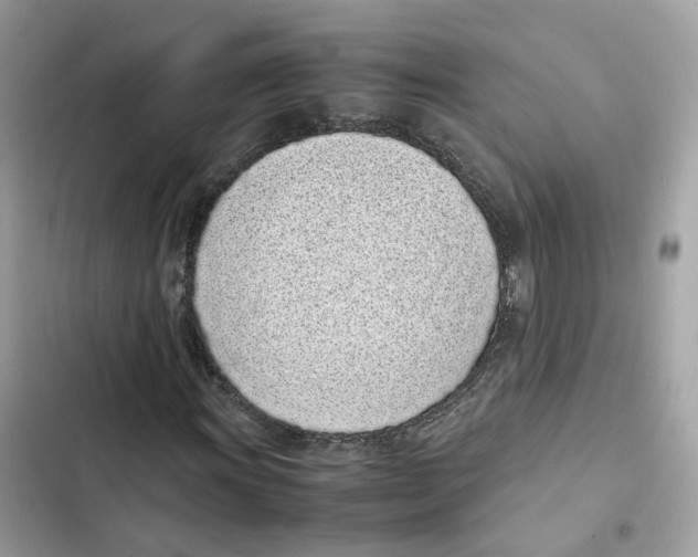 X0000101991011200808151419