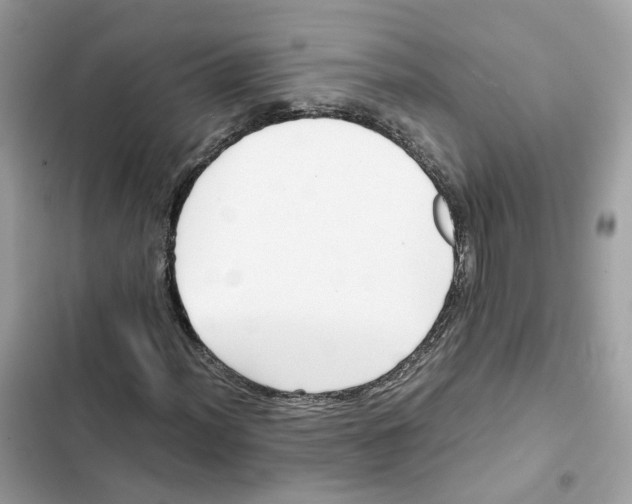 X0000101991012200808151419