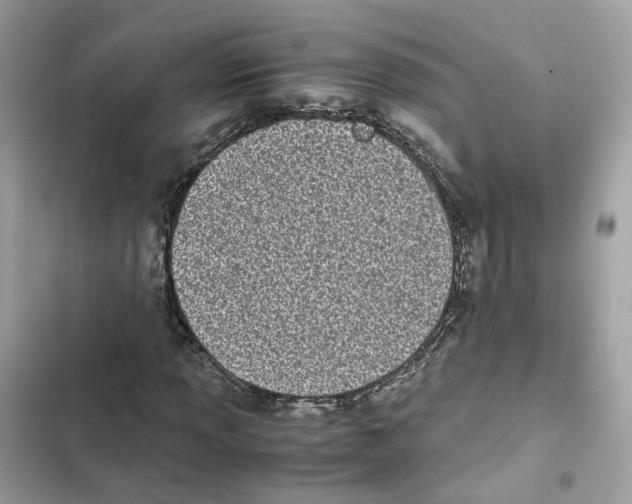 X0000101991013200808151419