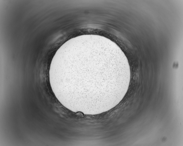 X0000101991014200808151419