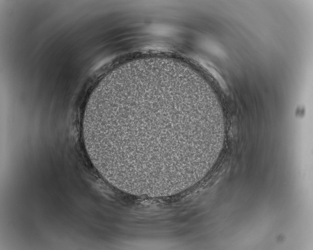X0000101991015200808151419