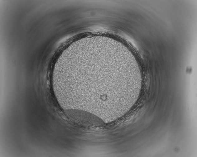 X0000101991016200808151419