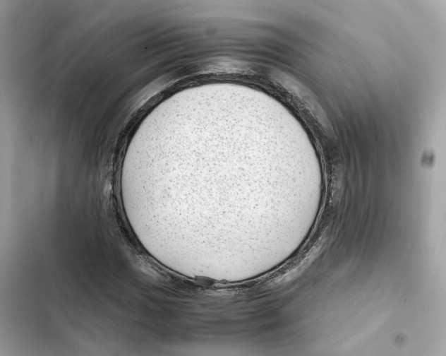 X0000101991017200808151419