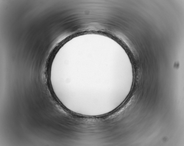 X0000101991018200808151419