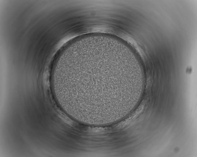 X0000101991019200808151419