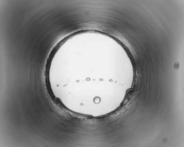 X0000101991020200808151419