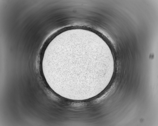 X0000101991021200808151419