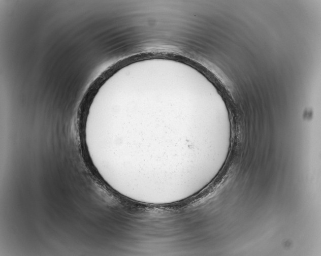 X0000101991022200808151419
