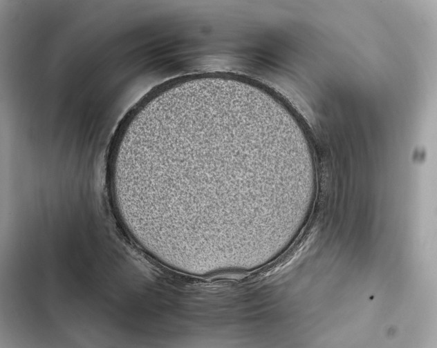 X0000101991023200808151419