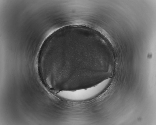 X0000101991024200808151419