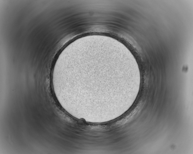X0000101991025200808151419