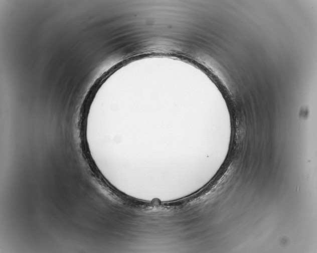 X0000101991026200808151419