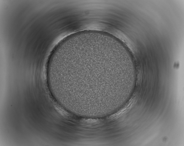 X0000101991027200808151419