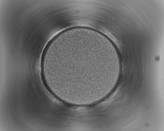 X0000101991028200808151419