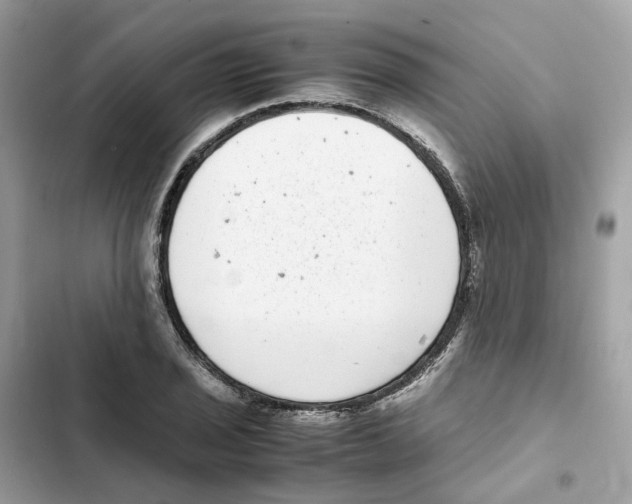 X0000101991029200808151419