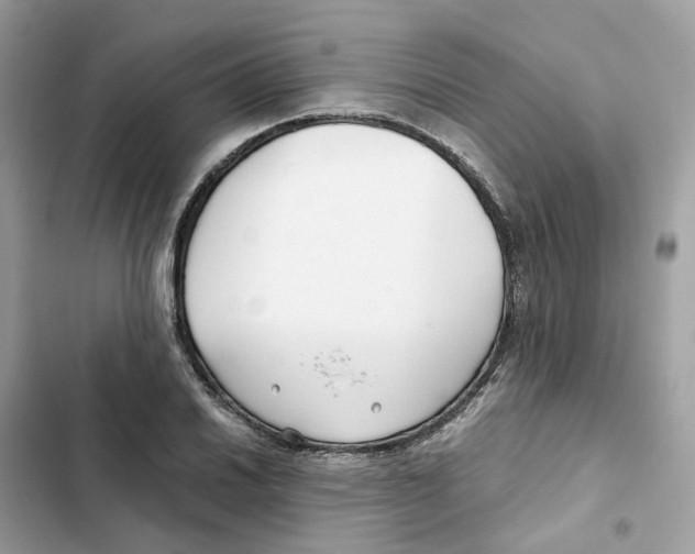 X0000101991030200808151419