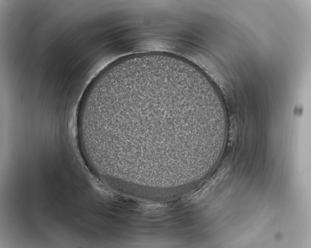 X0000101991031200808151419