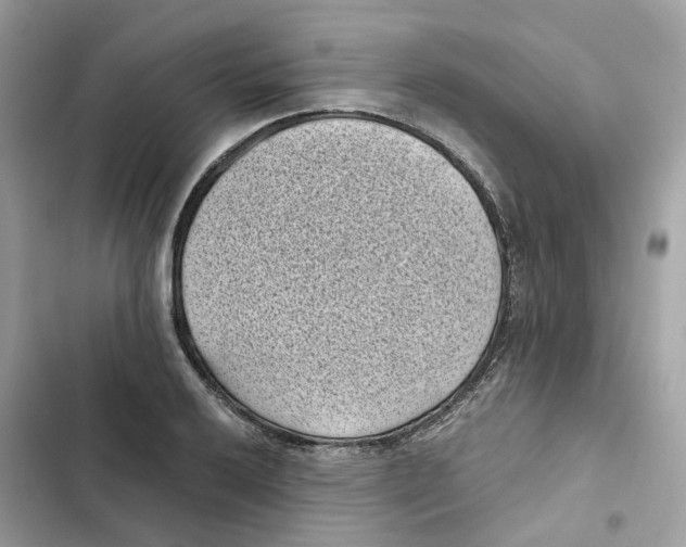 X0000101991032200808151419
