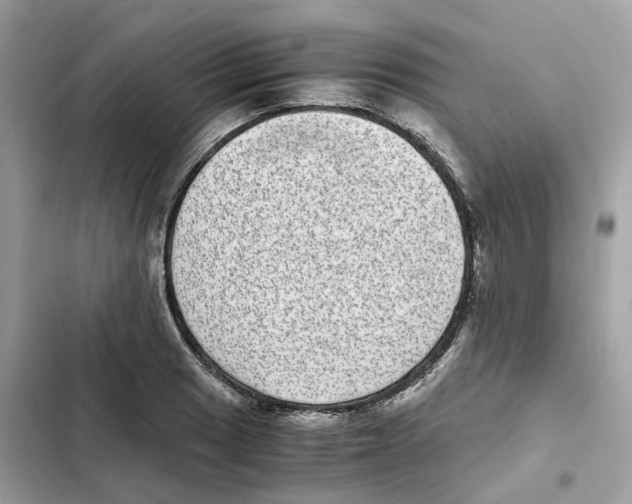 X0000101991033200808151419