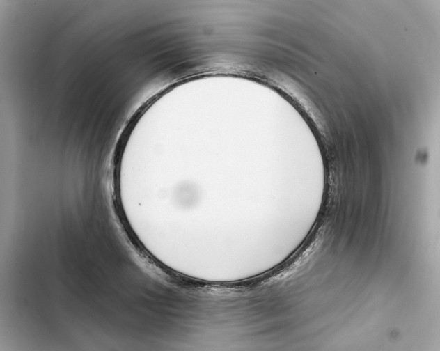 X0000101991034200808151419