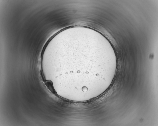 X0000101991036200808151419