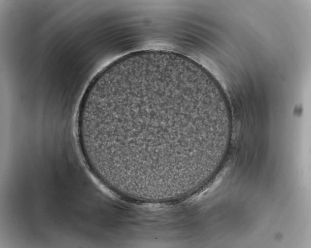 X0000101991037200808151419