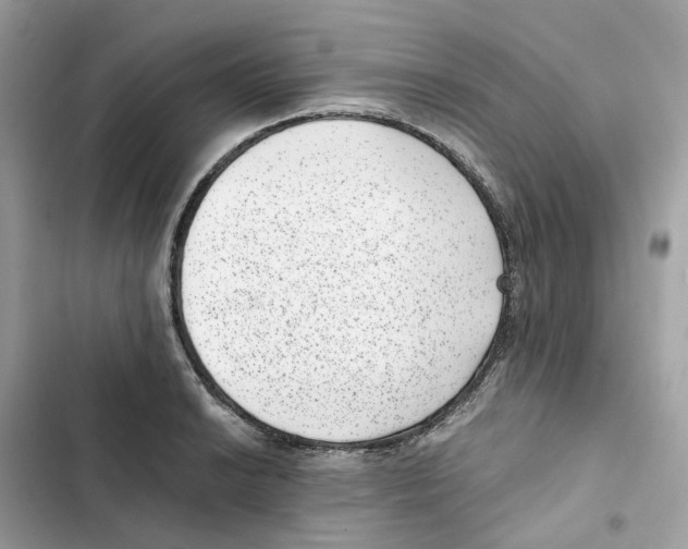 X0000101991038200808151419