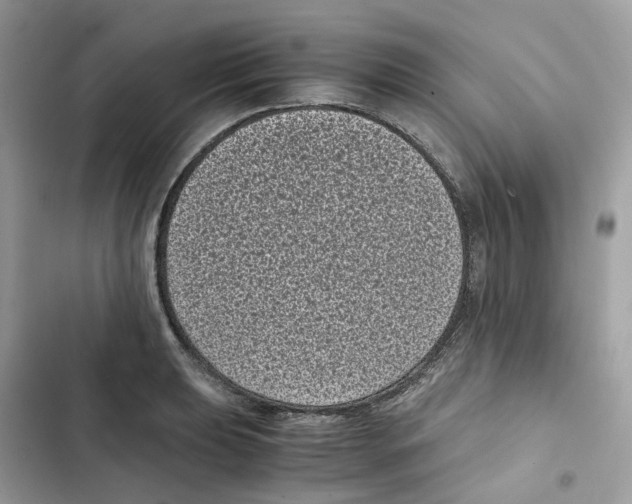 X0000101991039200808151419