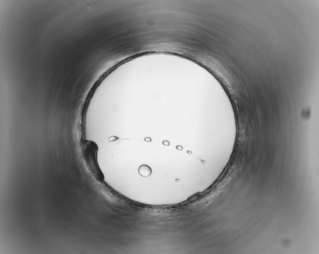 X0000101991040200808151419