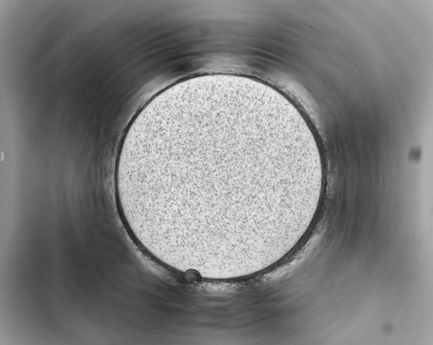 X0000101991041200808151419