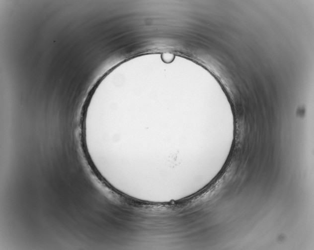 X0000101991042200808151419