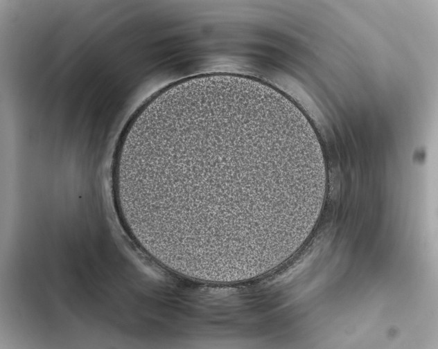 X0000101991043200808151419
