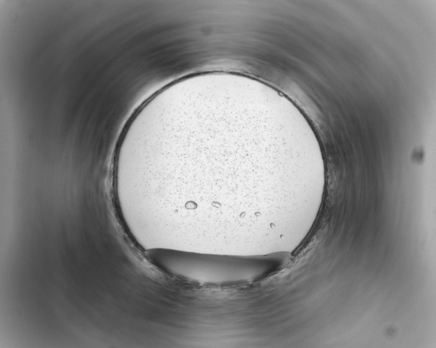 X0000101991044200808151419