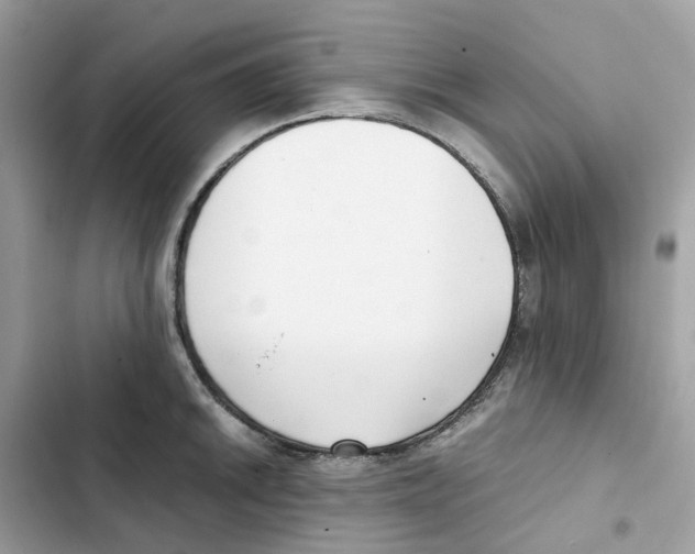 X0000101991046200808151419
