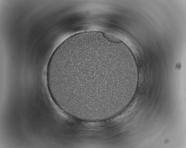 X0000101991047200808151419