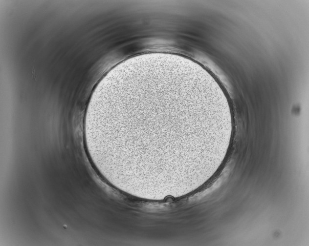 X0000101991049200808151419