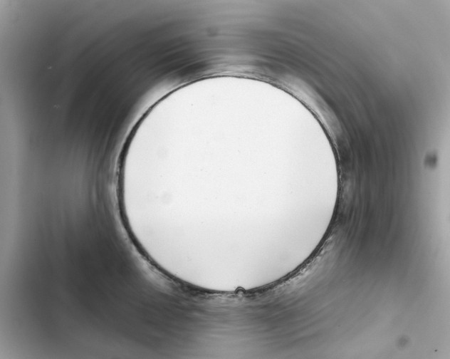 X0000101991050200808151419