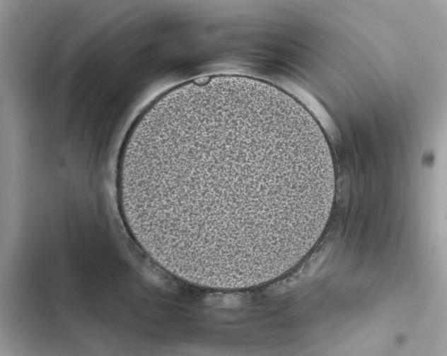 X0000101991051200808151419