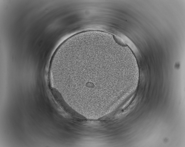 X0000101991052200808151419