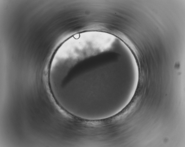 X0000101991053200808151419